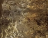 8664f8_024db6e808bc4f9ead60af15a830d56amv2