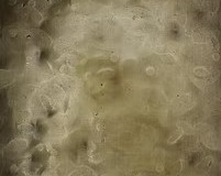 8664f8_7380b48752e847f2898bf2691533bb72mv2