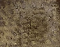 8664f8_7813c386d14c46b8b4e66dddf94ce890mv2