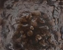 8664f8_82ca1391306b4d1fb41ece5a8dec48c8mv2