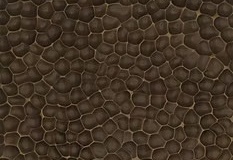 8664f8_90f6863253da4266b29f8fe025e4576dmv2